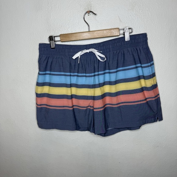 chubbies Other - Chubbies The Retro Sets 4" Inseam Swim Trunks Shorts Men's XL Striped Colorful